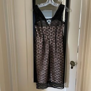 Ann Taylor Taupe and Black lace women's dress size 0